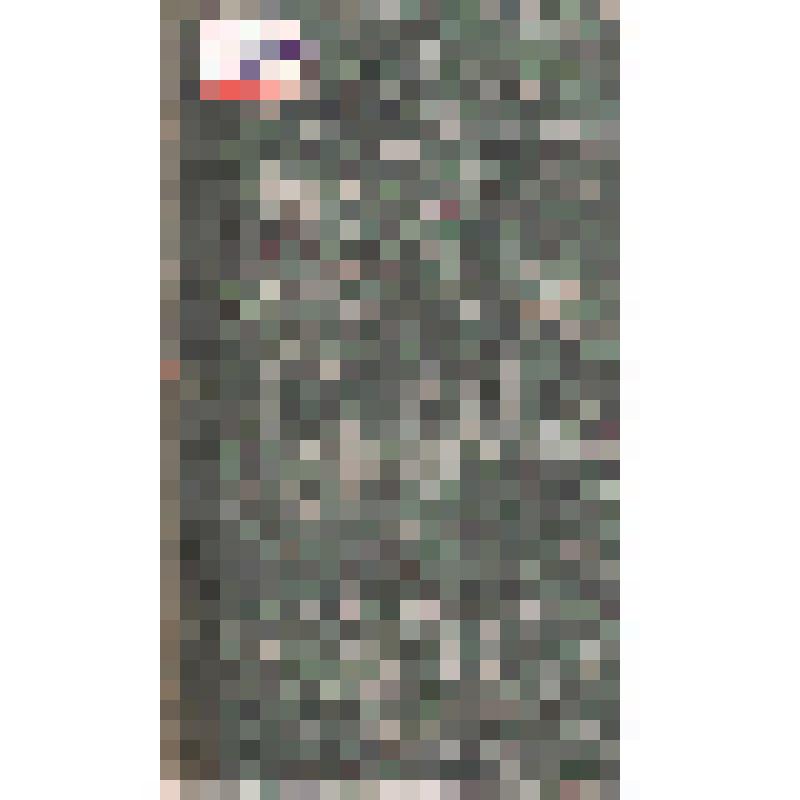 Книга. Деяния Петра Великого, мудрого преобразователя России, собранные из достоверных источников и расположенные по годам. Т.8. 2-е изд. М.: В типографии Н. Степанова,1838