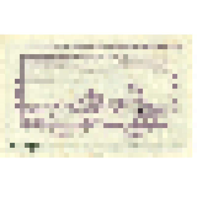 Бумажный денежный знак достоинством 100 000 марок 1923 года, Германия