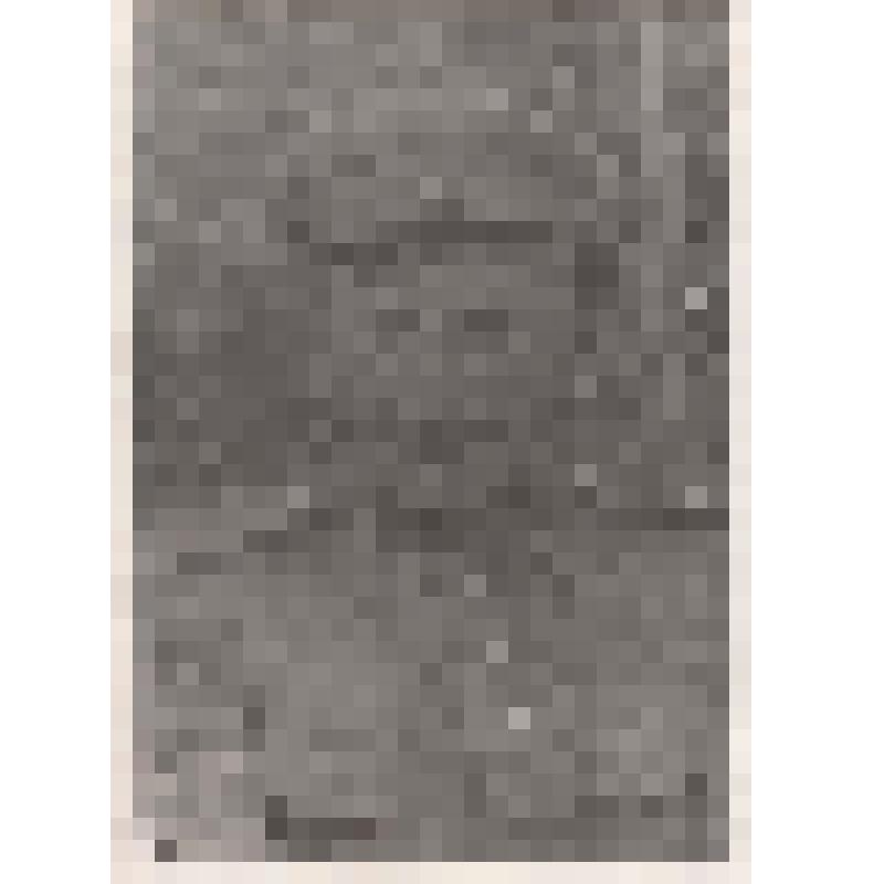 Фотография. Бурцев Яков Григорьевич, участник ВОВ, Матвеевский с/с