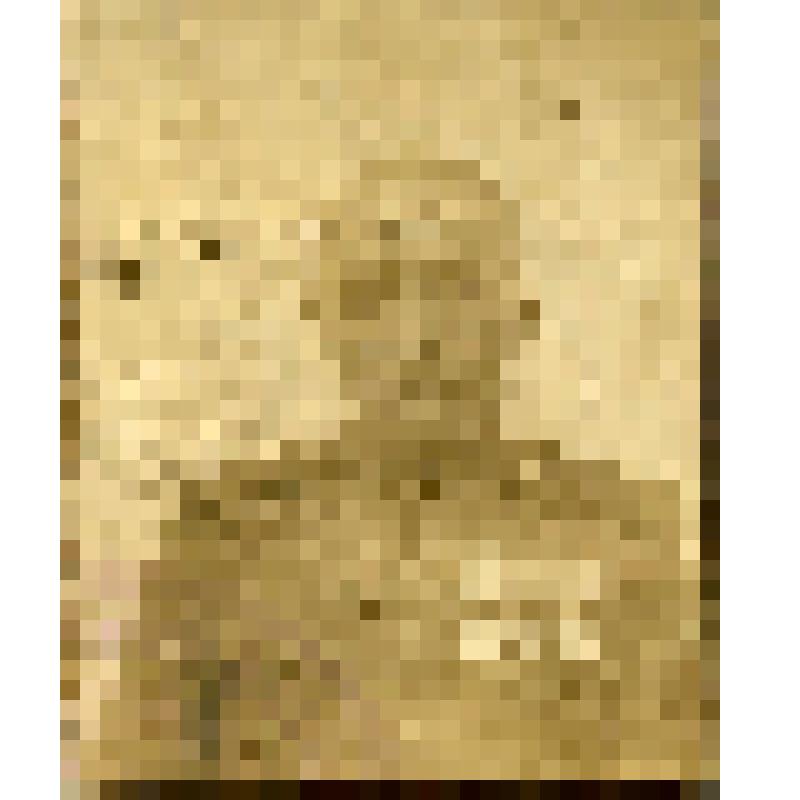 Фото. Захаров Серафим Семёнович - шофёр инженерно-сапёрного батальона