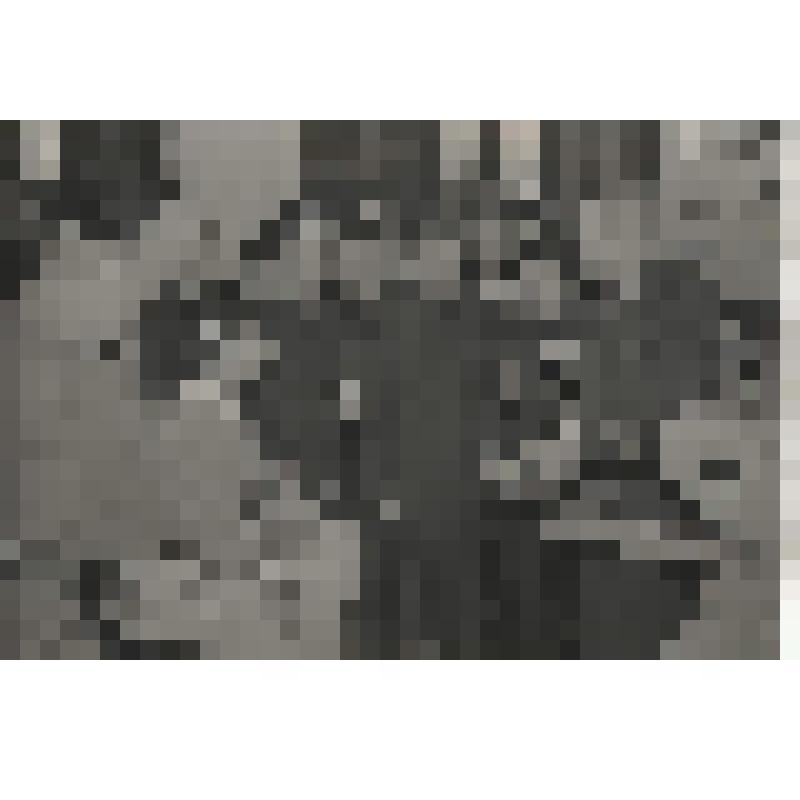 Делегация Общества китайско-советской дружбы посещает Политехнический музей. Фотография