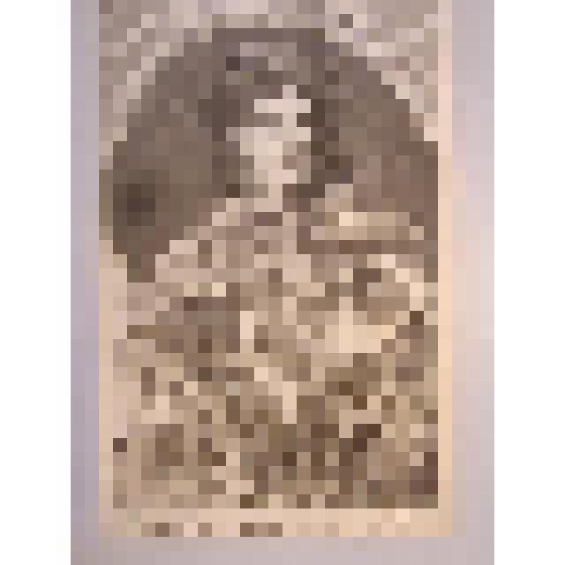 Портрет Петра I