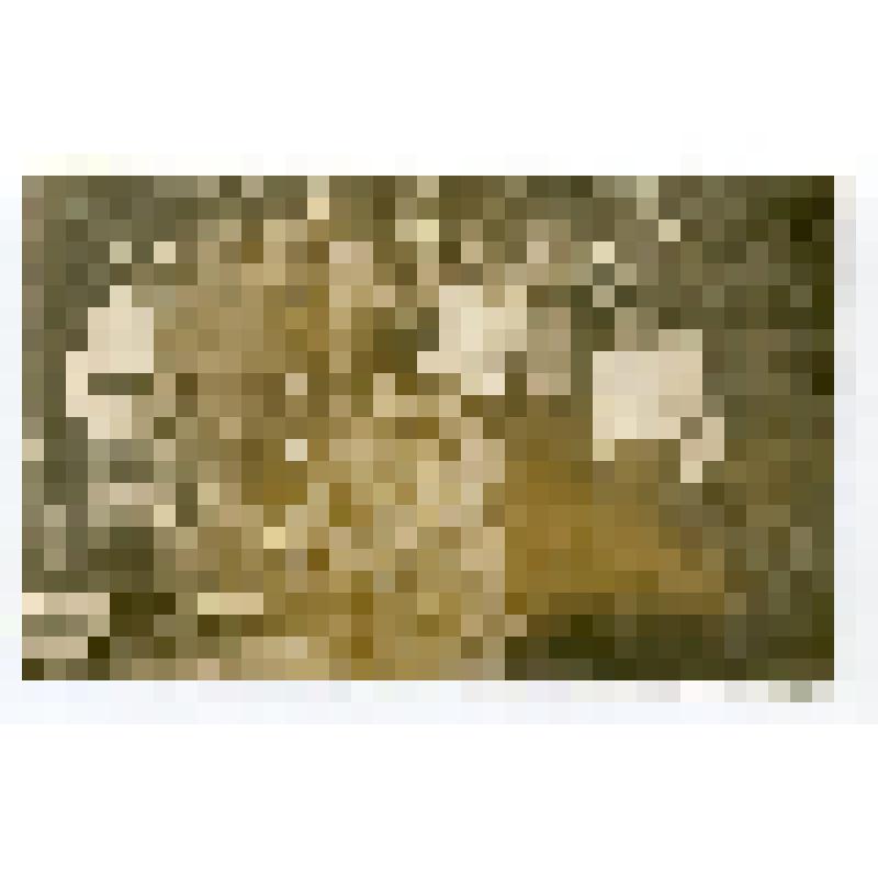 Фото групповое. Группа учащихся 9-го класса Шаховской средней школы