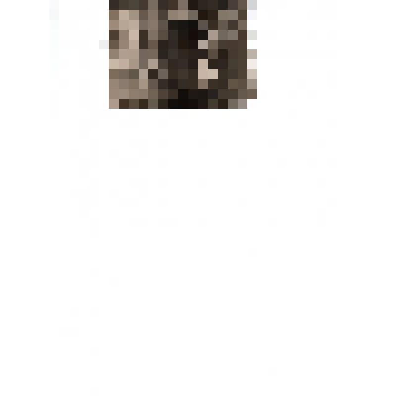 Фото Плоховой К.С. с детьми