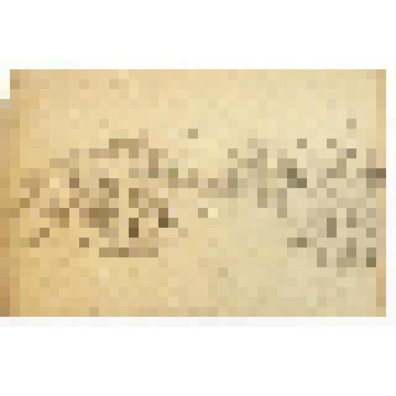 Рисунок. Село Белоярское. Деревенские постройки