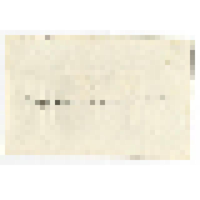 Празднование 100-летия со дня рождения В.И. Ленина. Дом культуры с.Тавайваам. В президиуме в центре Ф.М. Дьячков. Фотография черно-белая