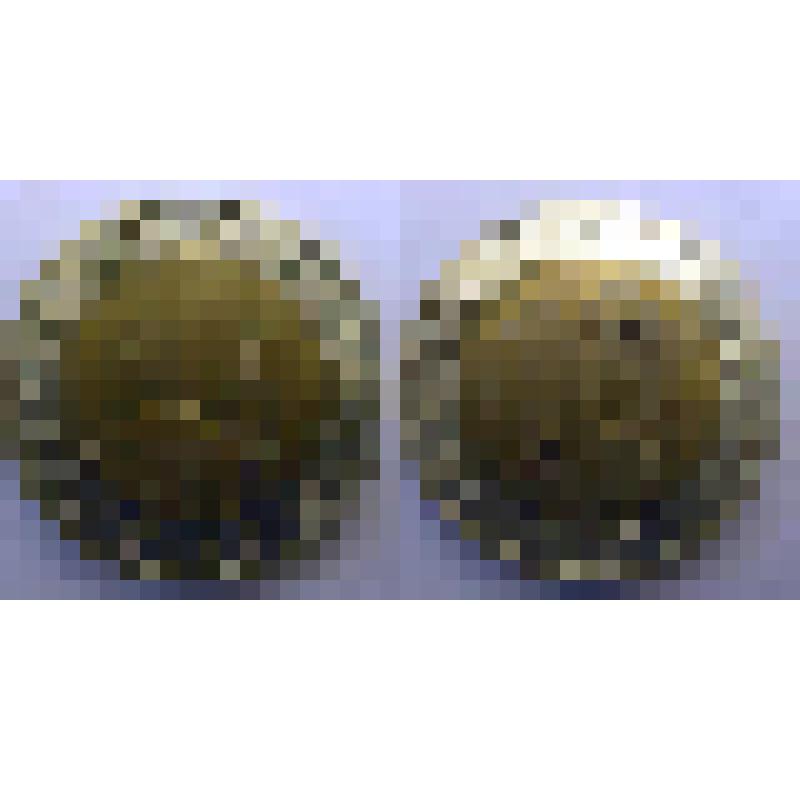 Монета  10 рублей