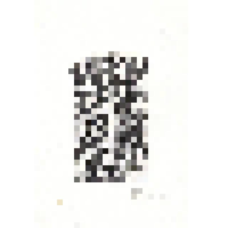 Экслибрис "Exlibris Е. Лисицына"