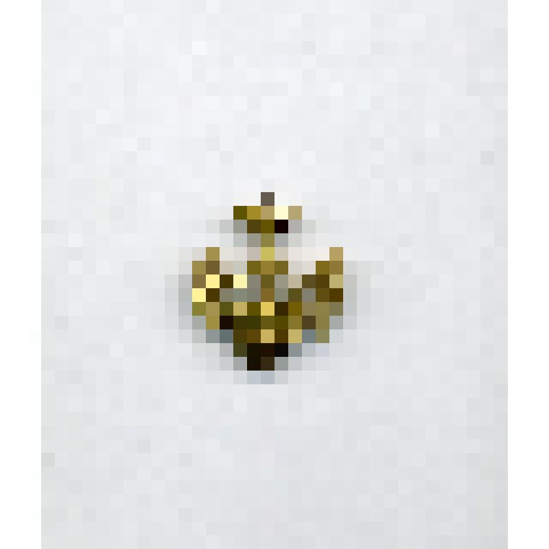 Знак масонской ложи "Усердного Литвина"