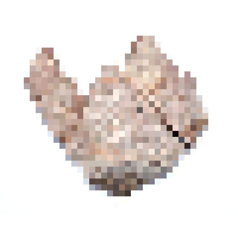 Сосуд (фрагмент)