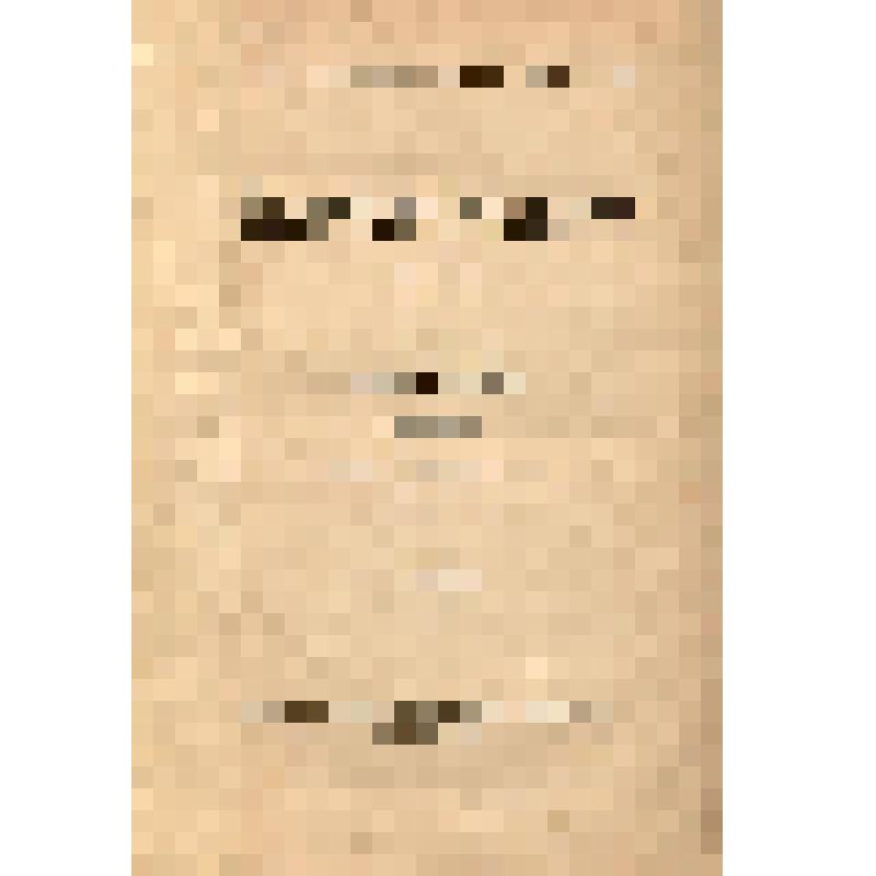 Книга. Великая разруха. 1584-1614 /  Пер. с франц. Н. Васина. Происхождение современной России, т. VIII