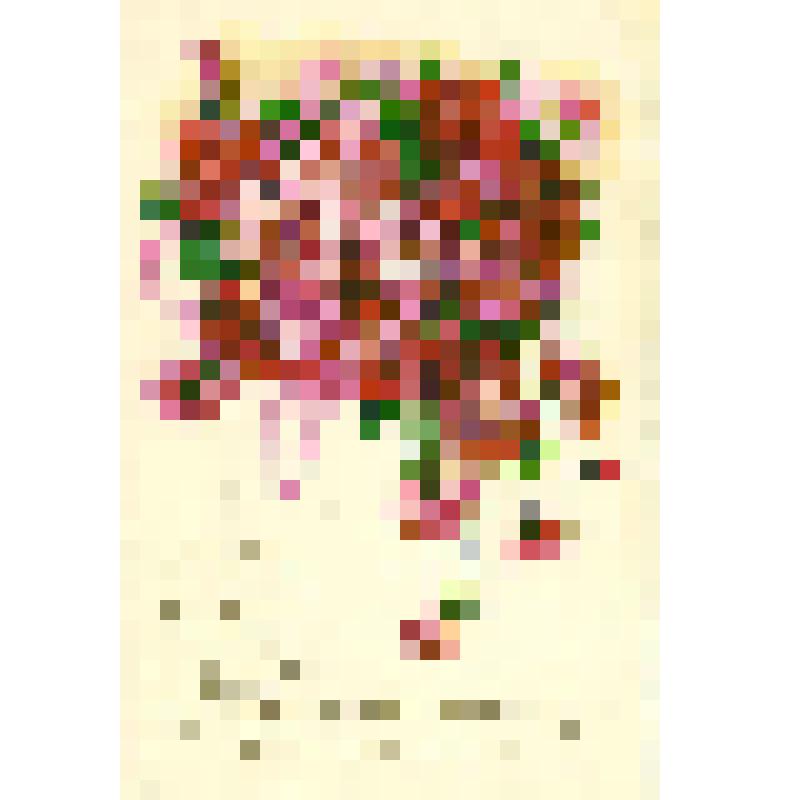 Приглашение. Барановой Г.Н. в маш. техникум 12.12.1981 года по поводу празднования бракосочетания от Олега и Ольги