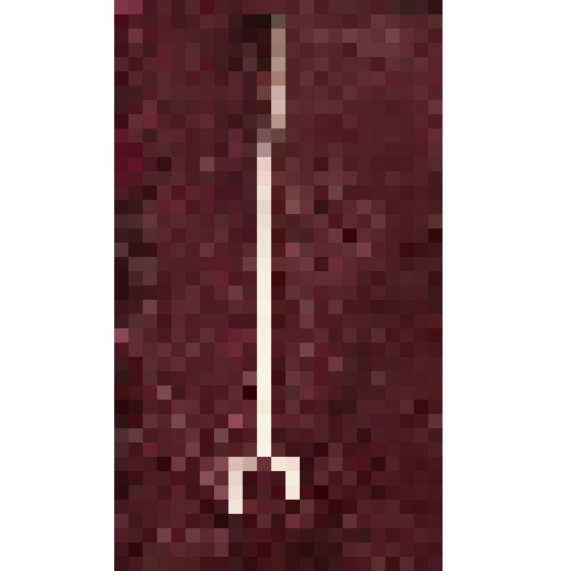 Коробка с костяными бирюльками: ухват