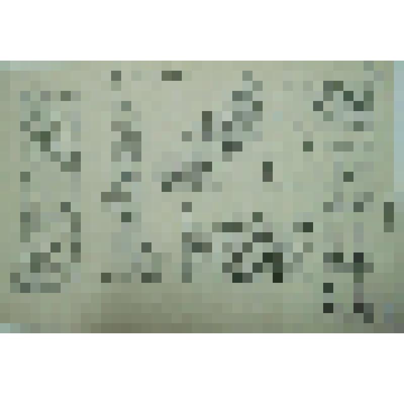 Прорисовка орнаментов и инициалов. Рисунок