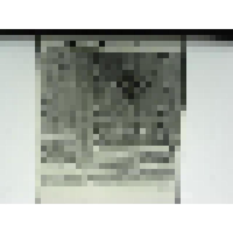 Дом Есенкова. нач.ХХ в. Челябинская  обл., Кусинский р-н, д. Аршинка. Дом Есенкова, нач.ХХ в. Ворота. Резной декор створки ворот