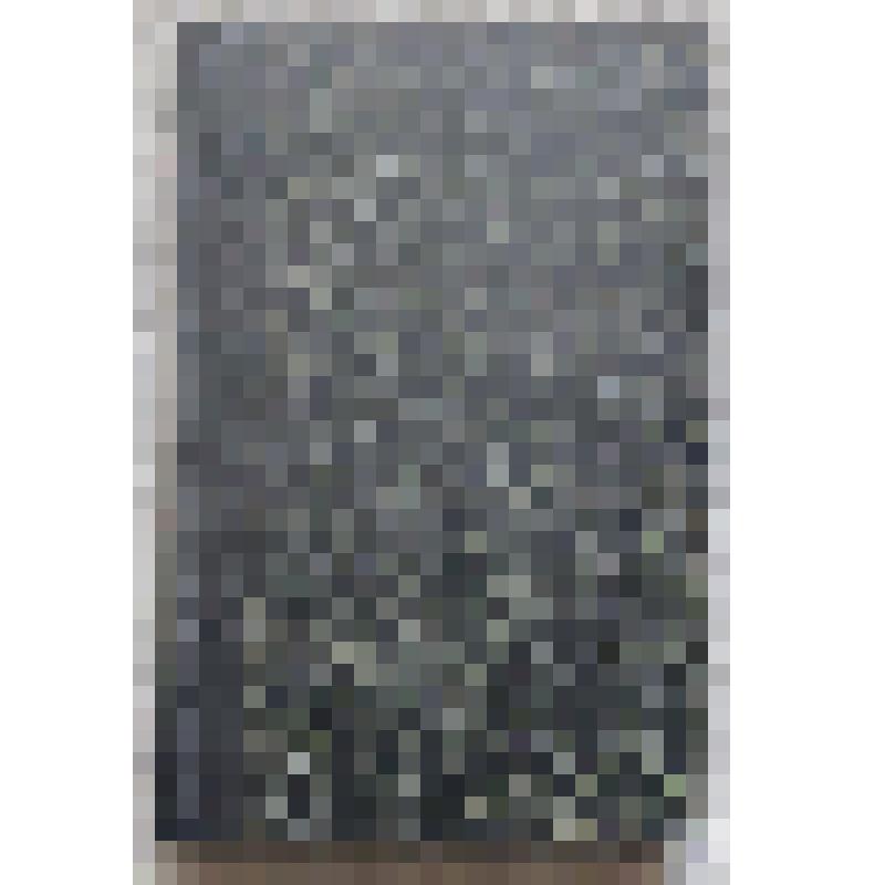 Журнал. Вестник Европы: журнал истории, политики, литературы / Издатель и ответственный редактор М. Стасюлевич. – СПб.: Тип. М.М. Стасюлевича, 1878. – Т. 5. Кн. 9. Сентябрь. – 464 с