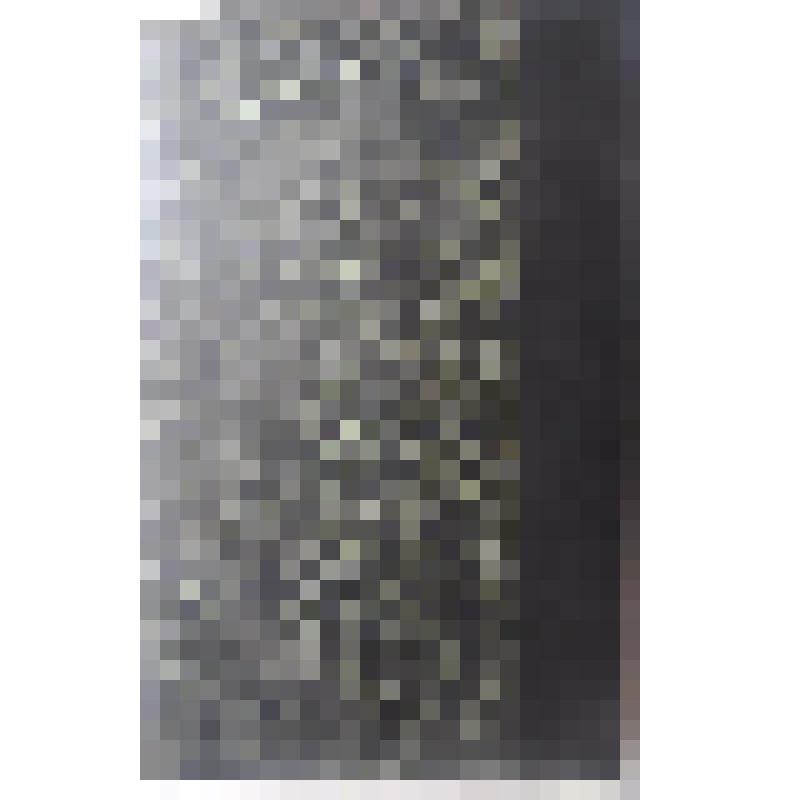 Журнал. Вестник Европы: журнал истории, политики, литературы / Издатель и ответственный редактор М. Стасюлевич. – СПб.: Тип. М.М. Стасюлевича, 1878. – Т. 5. Кн. 9. Сентябрь. – 464 с