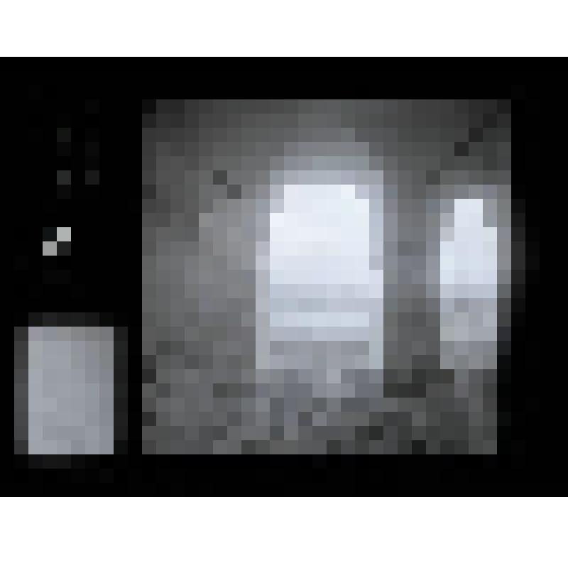 Негатив. Церковь Вознесения Господня. Галерея. Коломенское