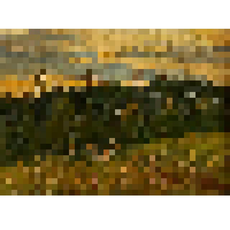 Этюд. Вечер