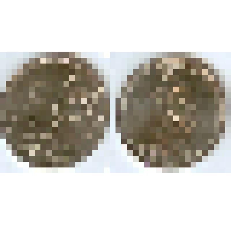 Монета памятная. 5 рублей. Сталинградская битва. Из альбома коллекционного памятных монет банка России, посвященного 70-летию Победы в Великой Отечественной войне 1941-1945 гг