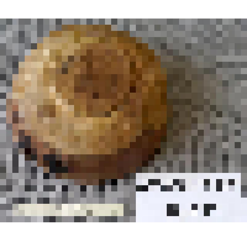 Чашка- "без айак"