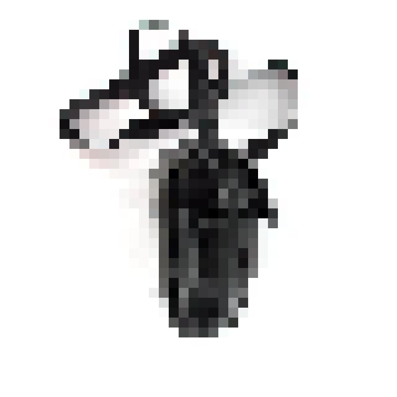 Футляр для фотоаппарата Гужвина А.П. "Pentax"