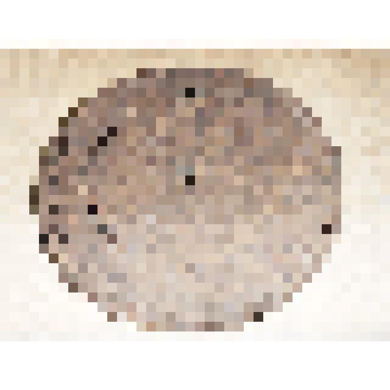 Магазин от ручного пулемета