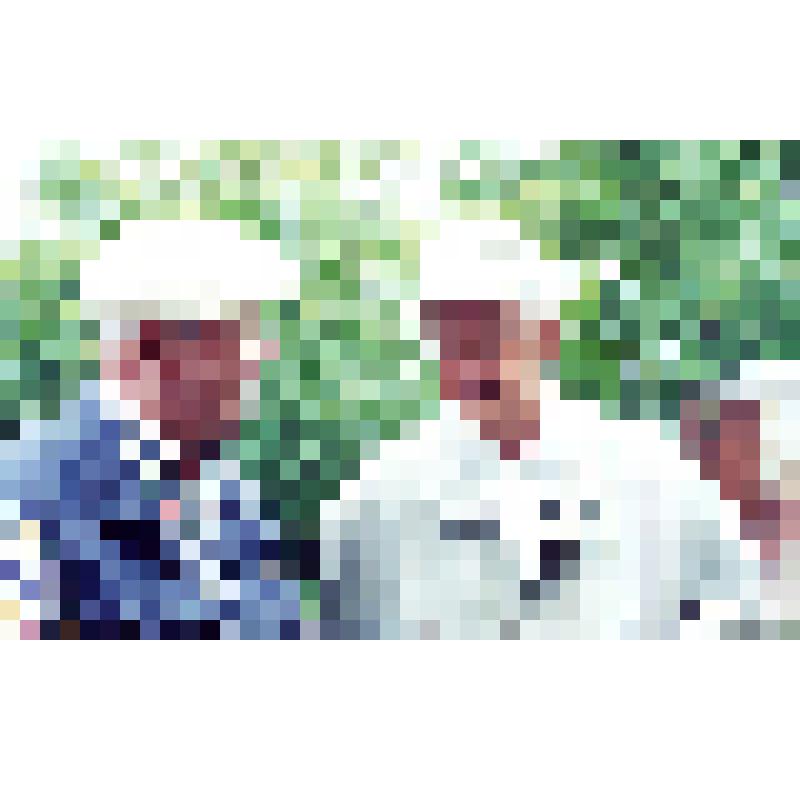 Тур Хейердал и Ю.Сенкевич на археологическом раскопе по ул.Джержинского в г.Азове