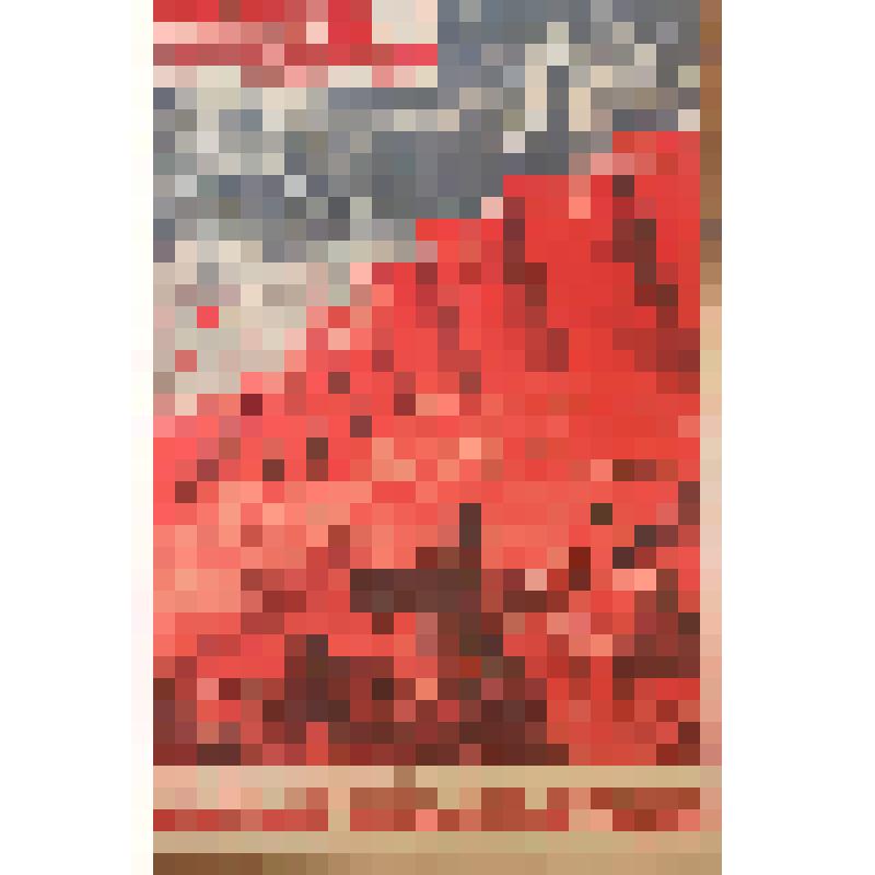 Плакат. "Могуч порыв неудержимый дивизий сталинских вперед..." (Окно ТАСС, 1943, №13). Из комплекта: Окна ТАСС