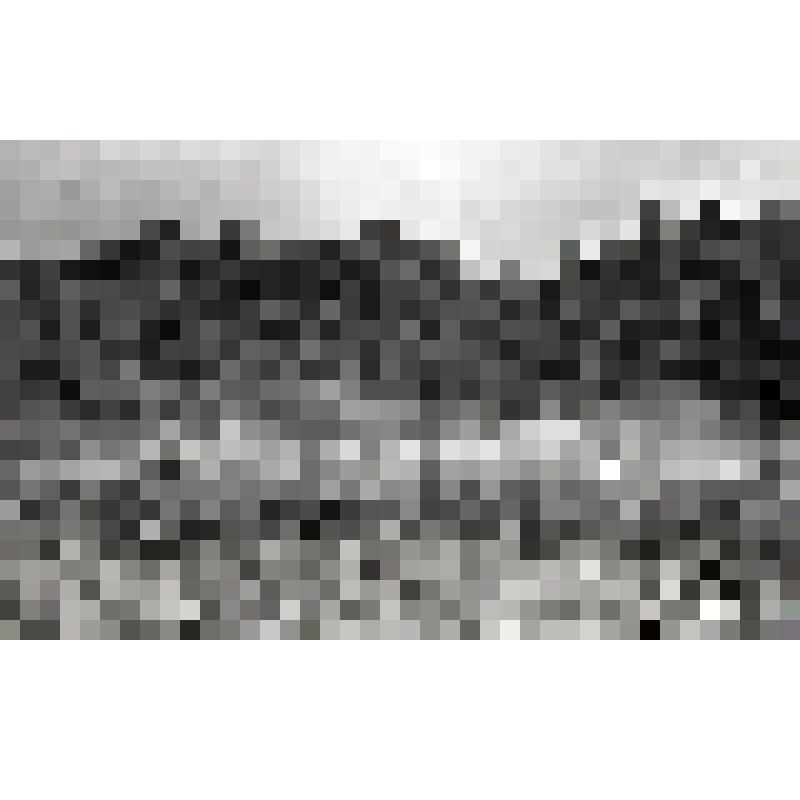 негатив. Побережье Калининградского залива