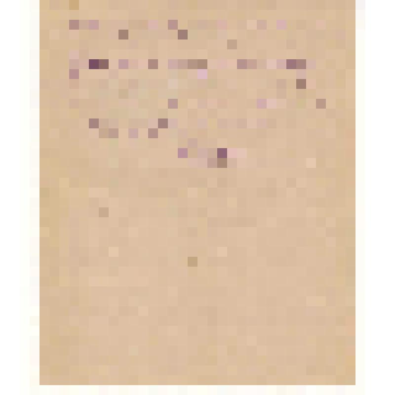 Письмо от Грушина Ефима Фаддеевича 20.03.1891 года, написано Константину Николаевичу и Оле (дочери)