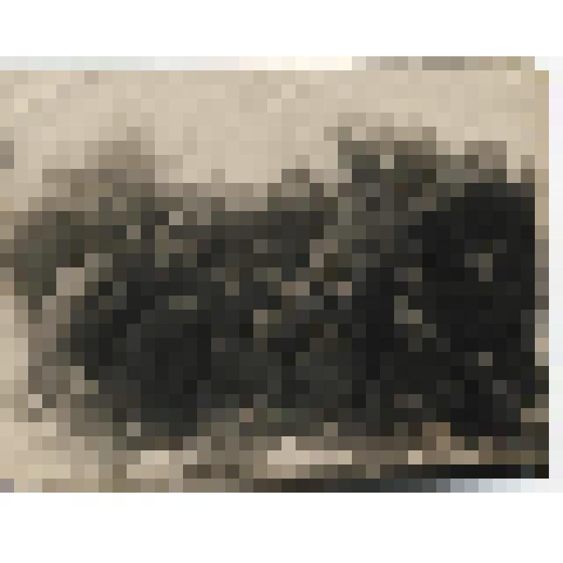 Фотография. Делегаты из Акмолинска и воины 310  стрелковой дивизии