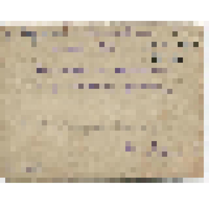 Фотография. Делегаты из Акмолинска и воины 310  стрелковой дивизии