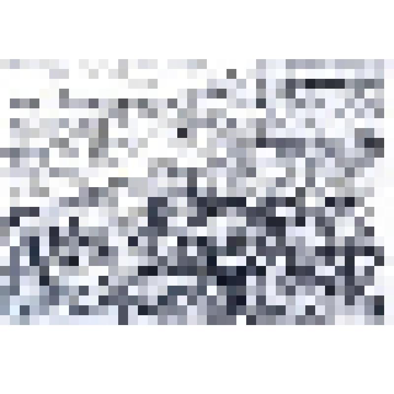 Офорт с видом на город Елабуга