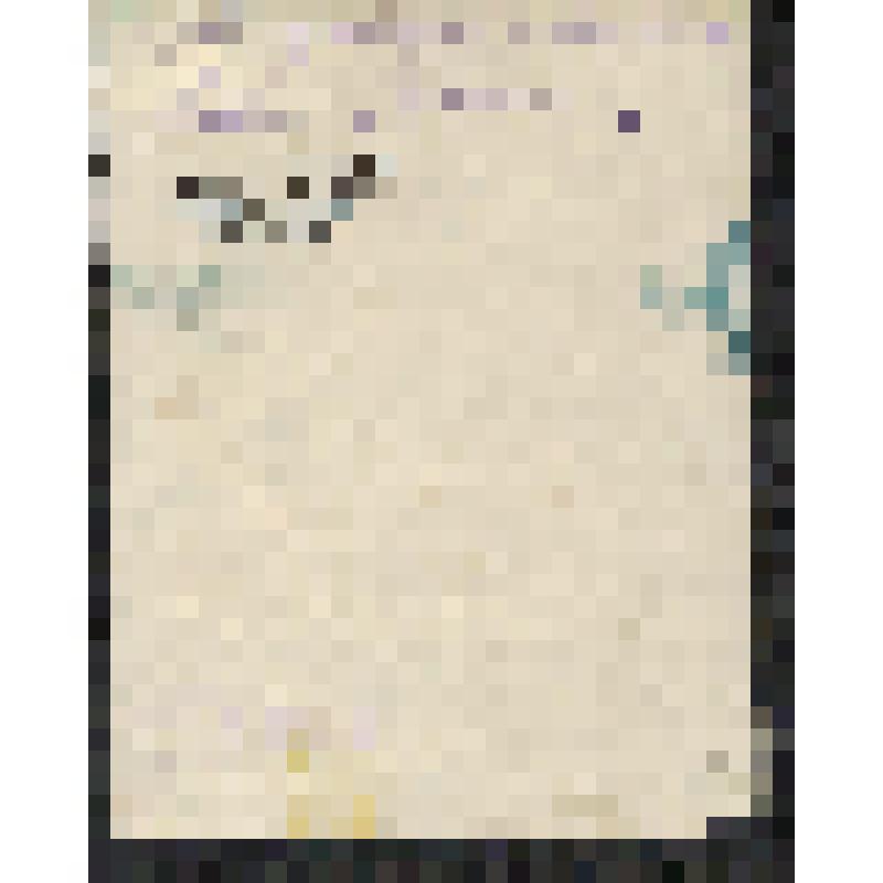 Фотография. Тупицына А.Д. - заслуженная учительница района