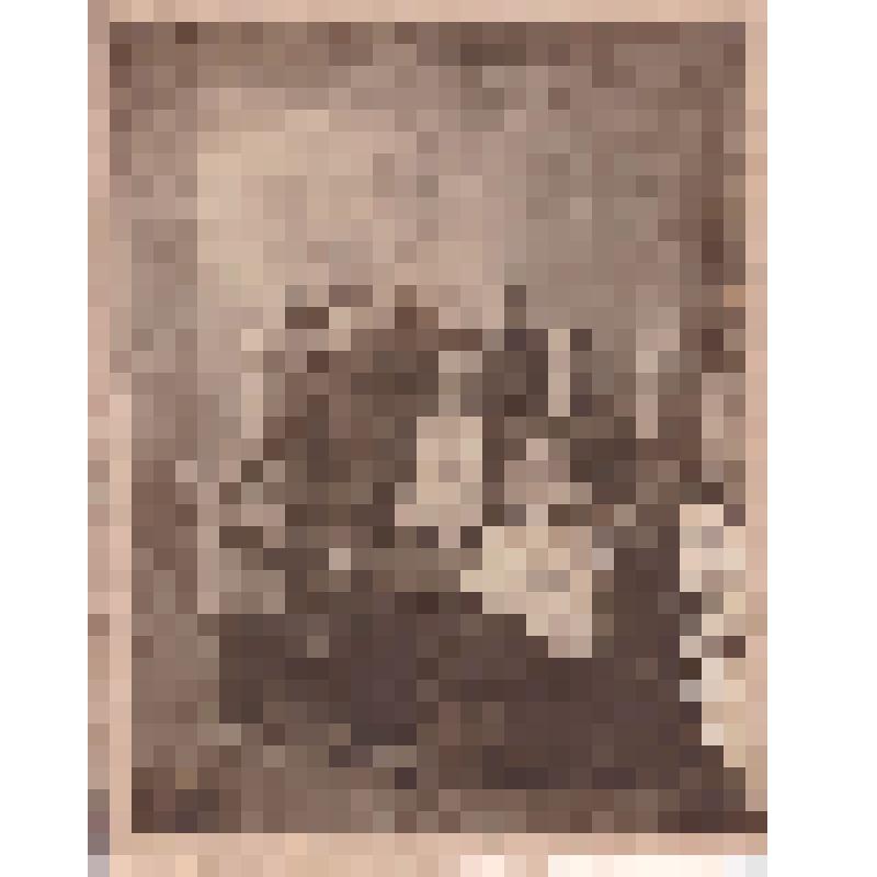 Фото. Групповой портрет. Семья Павловых