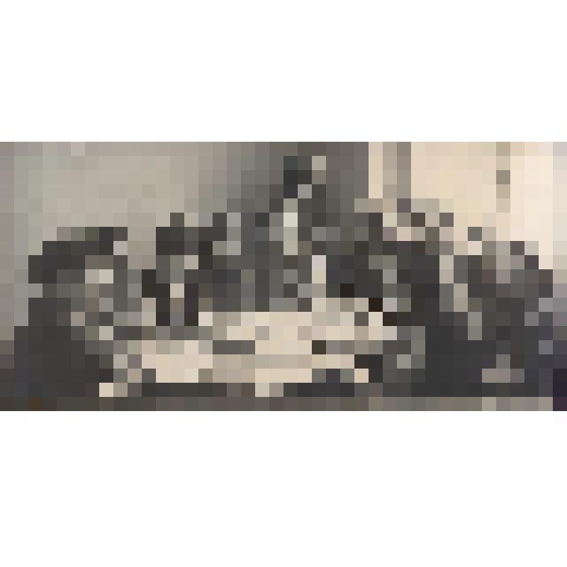 Фотография ч/б. Группа сотрудников Ленинградского Телеграфа