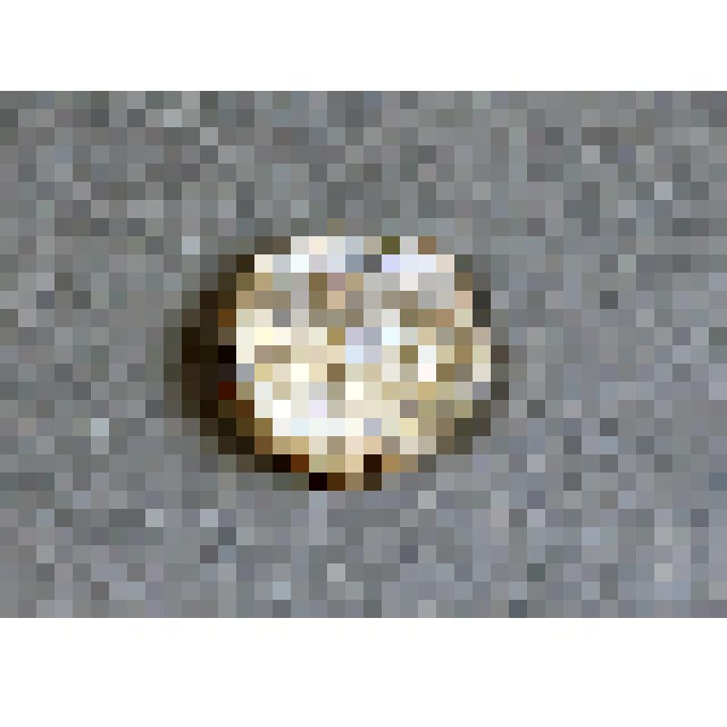 Пломба Николаевской железной дороги "Москва тов.", от 6 января 1908 г. из коллекции торговых железнодорожных пломб