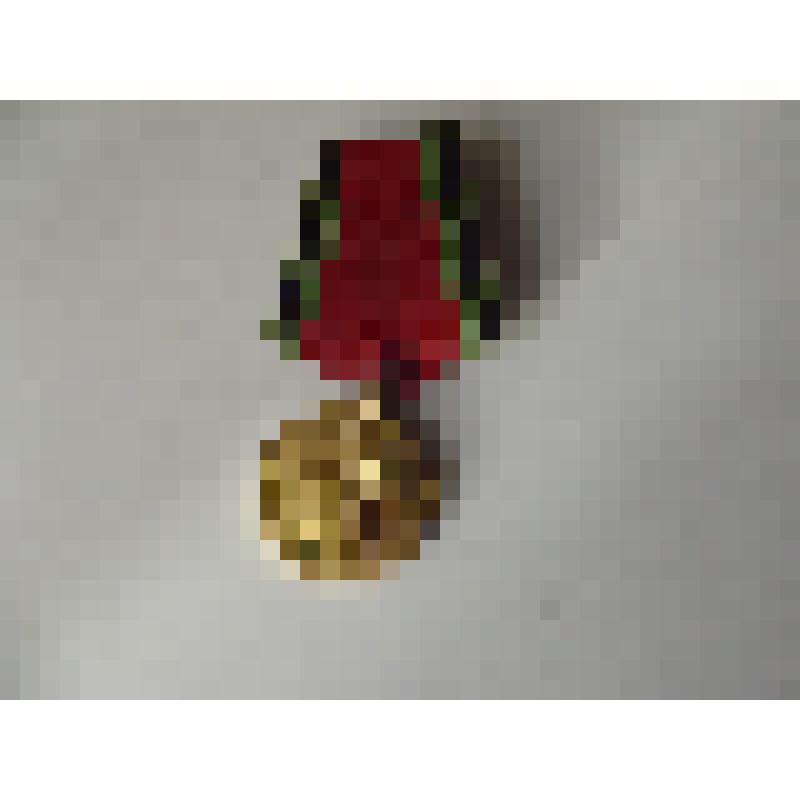 Юбилейная медаль "ХХ лет Победы в Великой Отечественной войне 1941 - 1945 г.г."