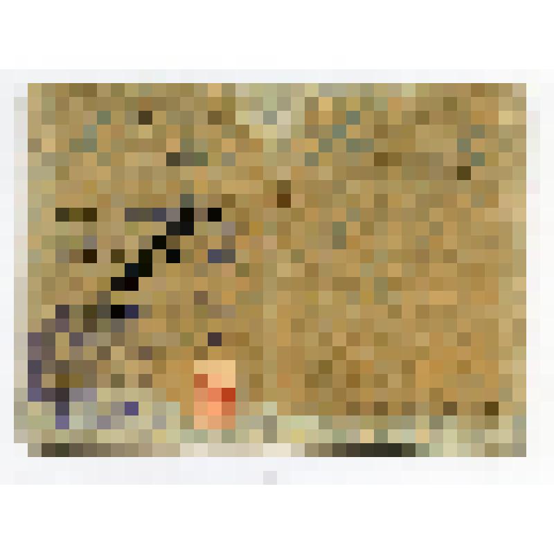 Членский билет Серия Д № 0519879 ДОСАВ (Всесоюзное Добровольное Общество Содействия Авиации) Корнеева Вадима Борисовича, 1939 г.р