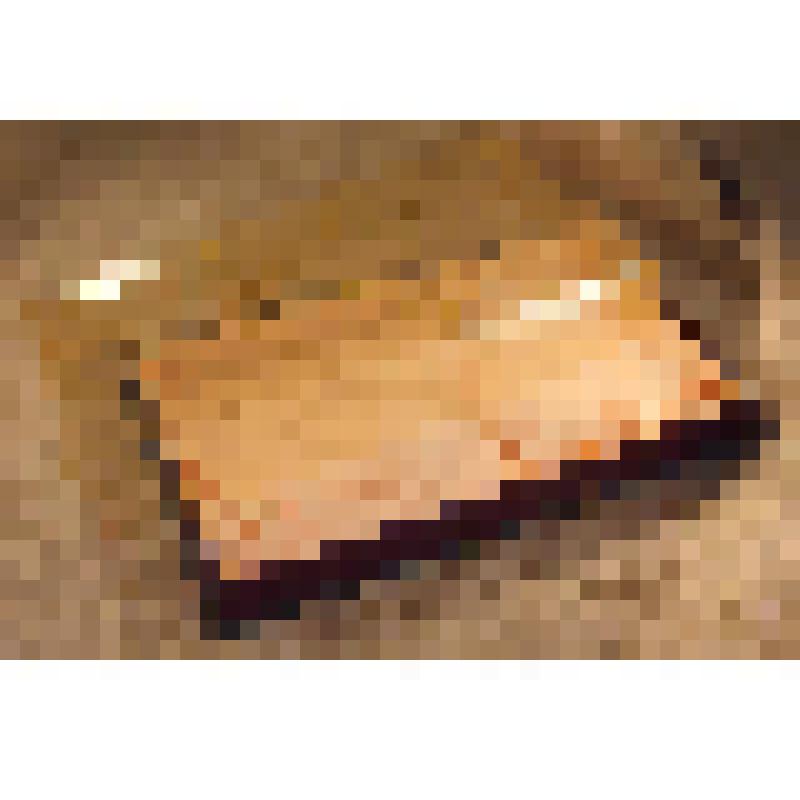 Коробка из-под подарочного галантерейного набора «Elеgancе», из коллекции документальных и вещевых материалов семьи Орловой Калерии Николаевны, бывшей заведующей лабораторией областного туберкулезного диспансера, пенсионерки