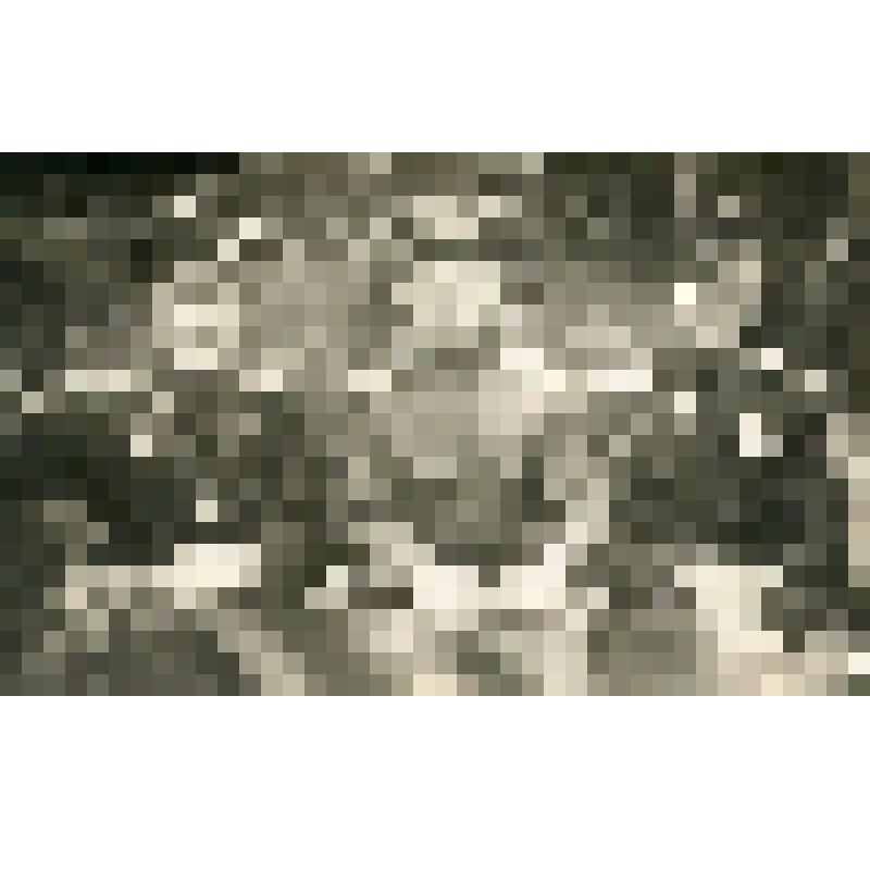 Фотография. Старший сержант Дорошенко Н.Ф