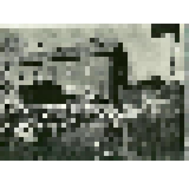 Фотография. "А что во дворе"