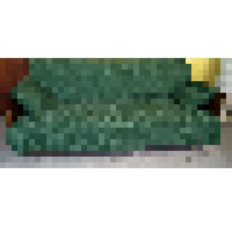 Диван-кровать Льва Гумилева