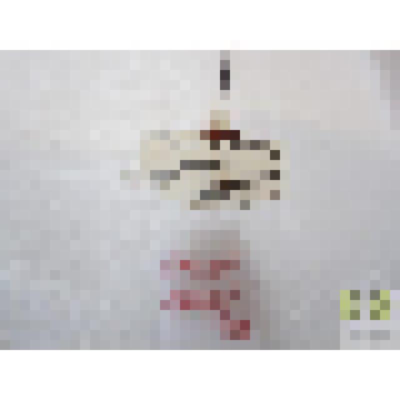 Канавочник подстилочный (Epaphius secalis Pk.)