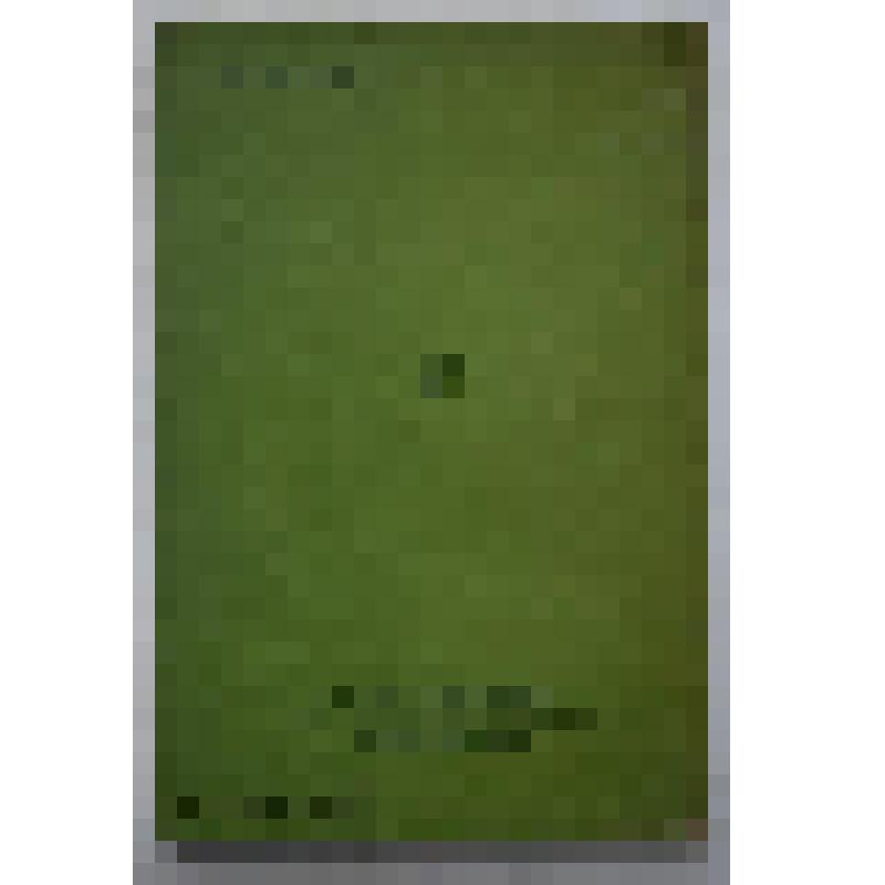 Книга. Очерки промысловых зверей и птиц. 2-е издание. Типография изд-ва "Дер Эмес"