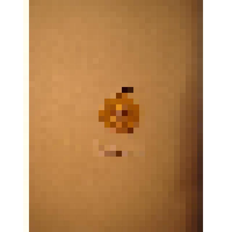 Жетон с изображением Л.Н.Толстого