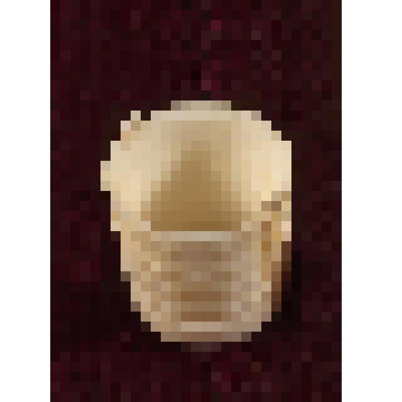 Коробка с костяными бирюльками: кадка