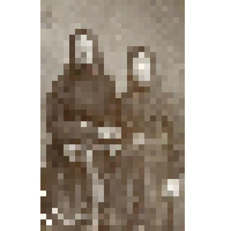 Фотография черно-белая на паспарту. Монахини Иоанно-Предтеченского Леушинского монастыря. Слева - Мария Щелкунова