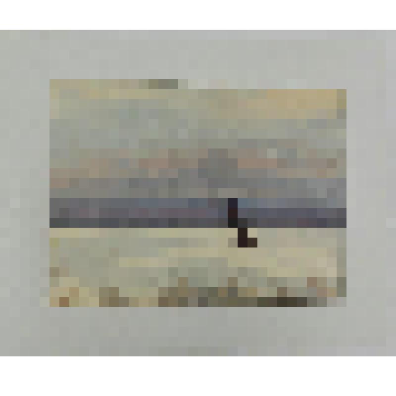 Акварель. Одинокое дерево